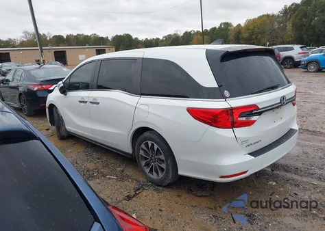 2021 Honda Odyssey Ex-L z USA, uszkodzony, nr VIN 5FNRL6H76MB008873